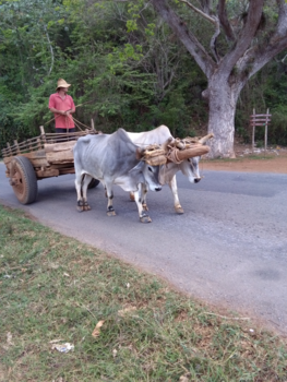 Cuba - Pk's ....OK's