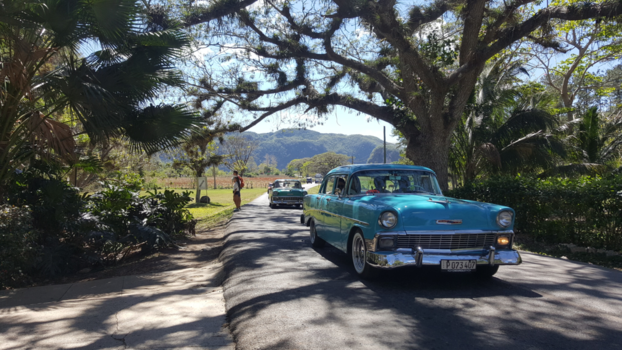 Cuba - Vallei van vinnales