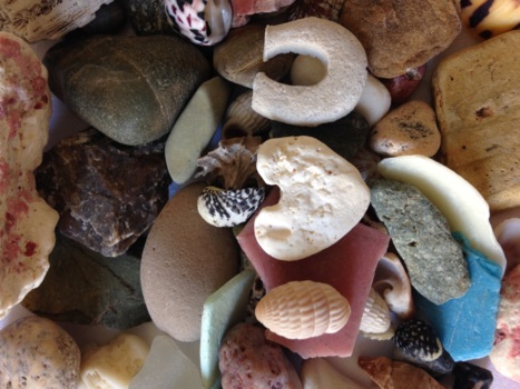 Curaçao - Gevonden schelpen op het strand