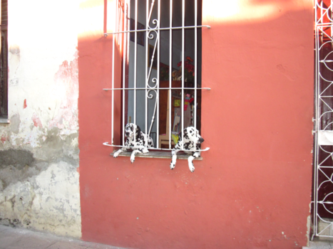 Cienfuegos - Relaxmomentje van 2 Cubaanse dalmatiers