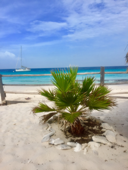 Klein Curaçao - Klein paradijs