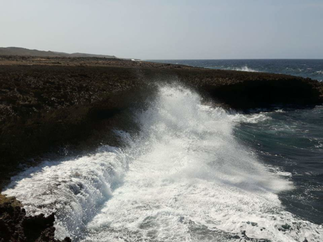 Curaçao - Mother Nature Rocks