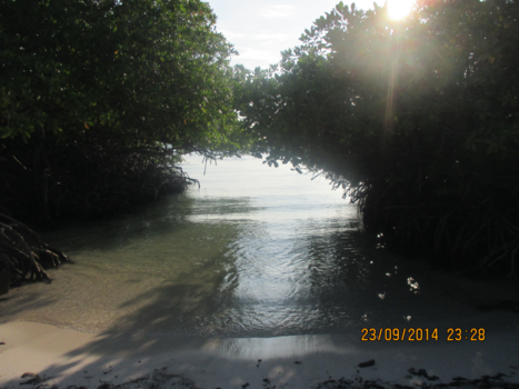 Aruba - Bijzonder plekje aan zee