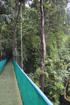 Costa Rica - Hangbrug