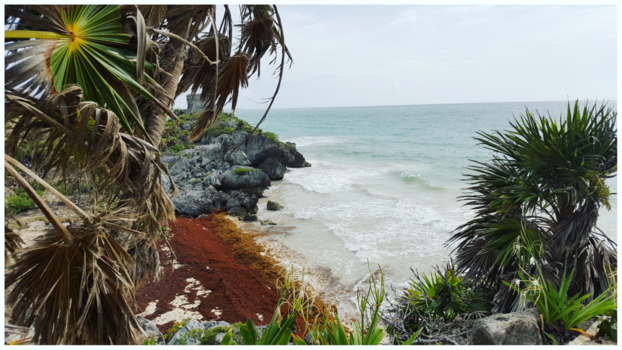 Tulum - Tulum Ruïne