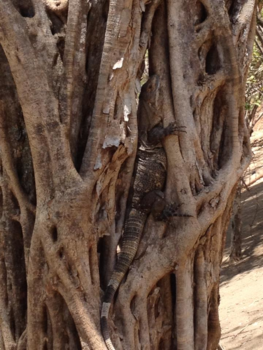 Costa Rica - My secret hiding place at Playa naranjo - Roca Bruja