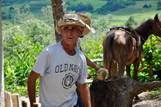 Viñales Valley - Horseback riding in the Valley of Silence - Cuba