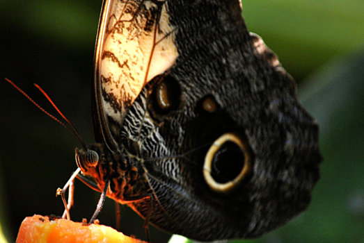 Nicaragua - Dinnertime
