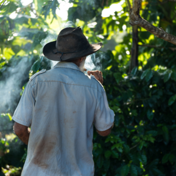 Viñales Valley - Tabacco perfecto