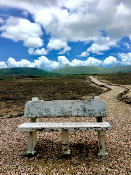 Curaçao - Sitting alone