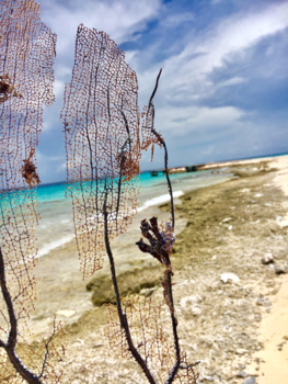 Curaçao - Klein Curacao