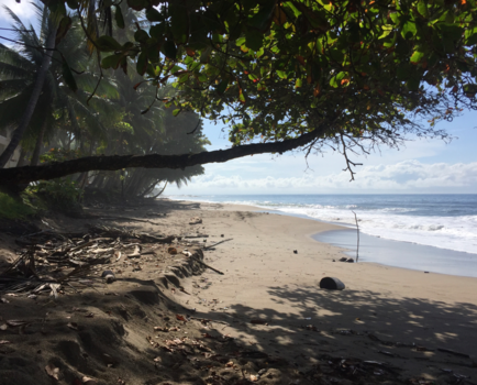 Costa Rica - Paradise at sea
