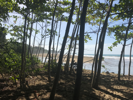 Puerto Viejo de Talamanca - Biking through paradise: pura vida!