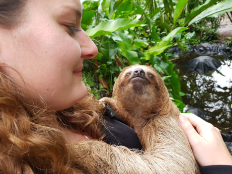 Costa Rica - I LOVE SLOTH
