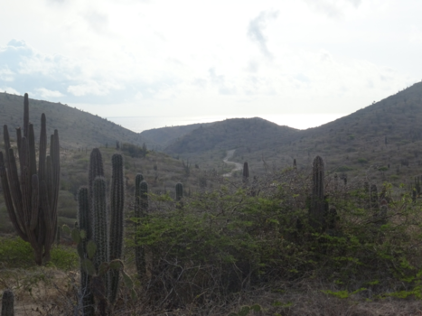 Aruba - Way to beautiful view