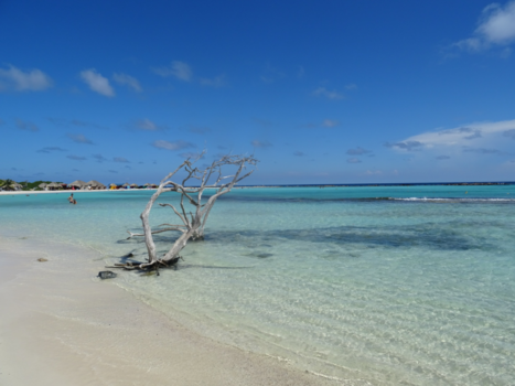 Aruba - Baby beach