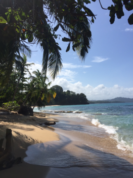 Costa Rica - Voor JP. R.i.p.