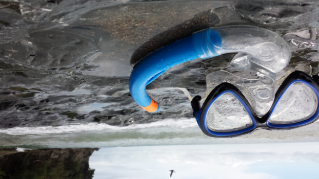 Costa Rica - Genieten in Manuel Antonio