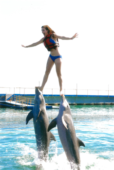 Cuba - "Just wait, they're coming"