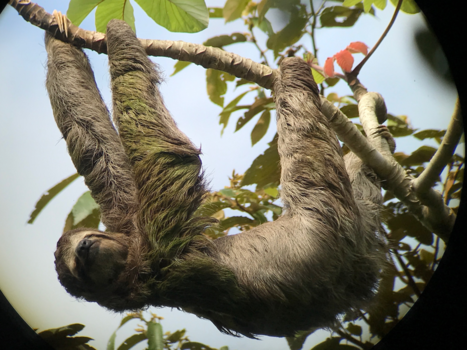 Manuel Antonio National Park