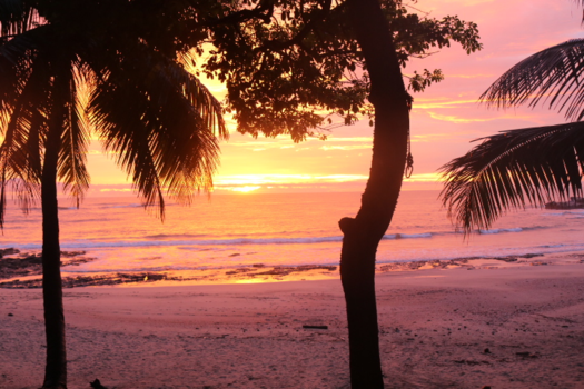 Costa Rica - Sunset nosara