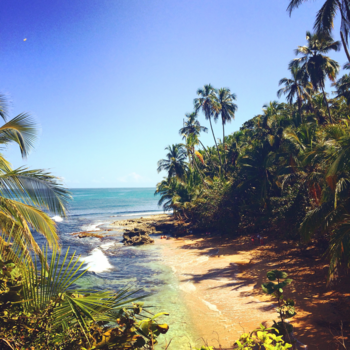 Costa Rica - Pura vida