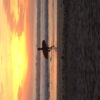 Costa Rica - Santa Theresa