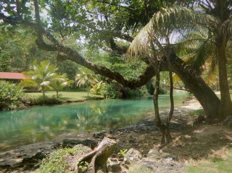 Jamaica - Jamaica  yah man