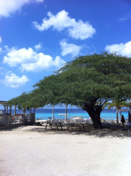 Curaçao - Kokomo beachclub