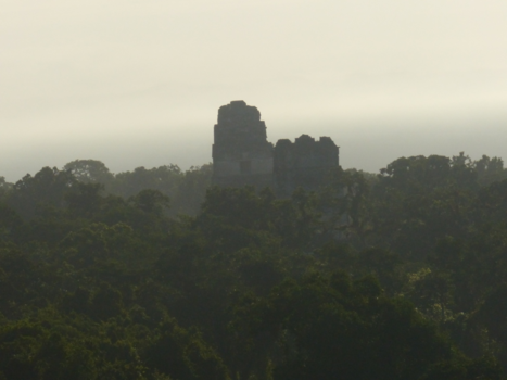 Guatemala - Prachtige Tikal