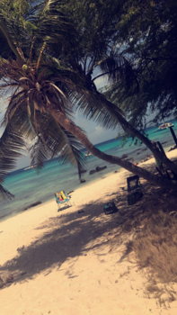 Aruba - mooiste stranden