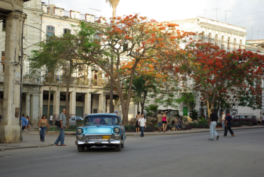 Havana - Havana 2008
