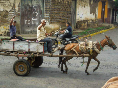 León - Peace for the picture