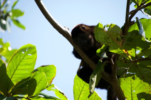 Costa Rica - Costa Rica