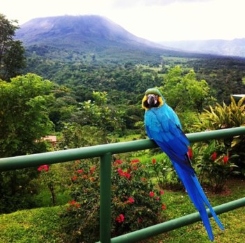 Costa Rica - Pura Vida Nature