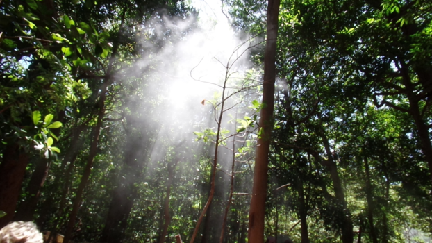 Costa Rica - Vulkaangassen bewonderen (met je neus dicht)