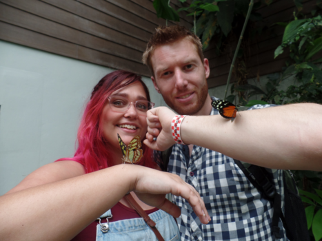 Costa Rica - Net uit gepopte vlinder los mogen laten in de vlindertuin