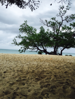 Cuba - Ongerept strandje in Guardalavaca