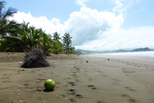 Panama - My point of view, is not your point of view - Panama