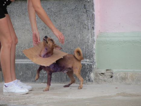 Havana - Cubaanse creativiteit kent geen grenzen