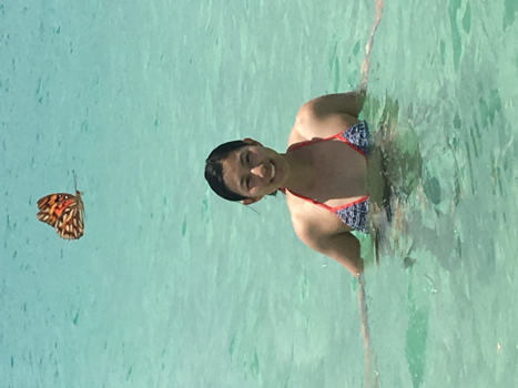 Sint Maarten - Butterfly