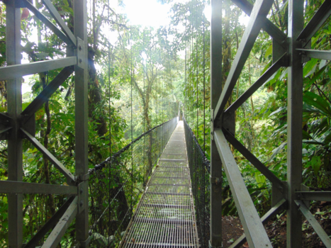 Costa Rica - Hanging bridge to heaven