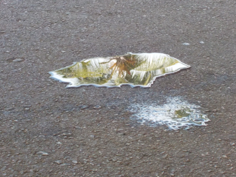 Punta Cana - Holiday on water!