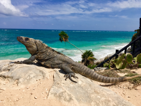 Tulum - Tanning at the beach