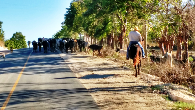 Cuba - Wildwest tussen Cienfuegos en Trinidad