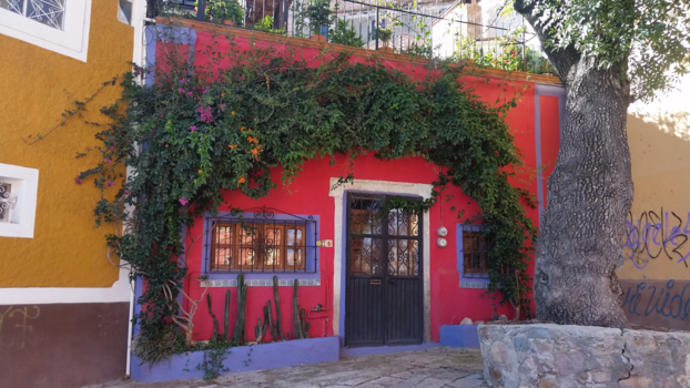 Guanajuato - Kleurrijke huizen