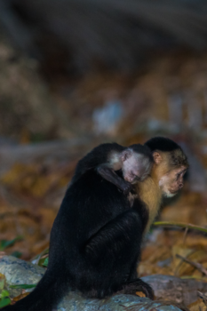 Costa Rica - Mother and child