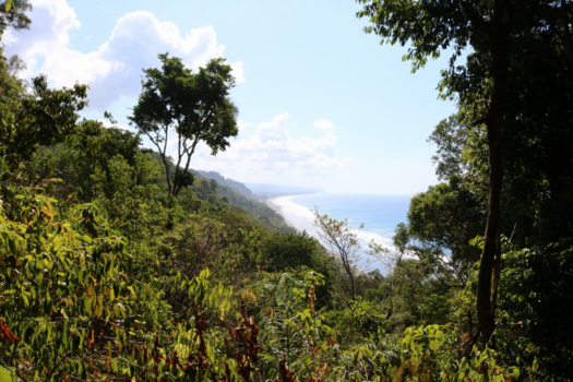 Costa Rica - Ongerepte natuur