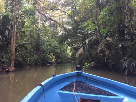 Tortuguero National Park