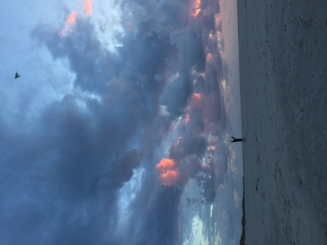 Bonaire - Reach for the sky